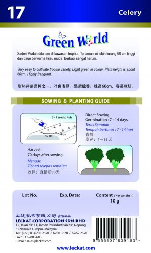 Daun Sup 2