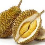 Kaedah Penanaman Durian Musang King