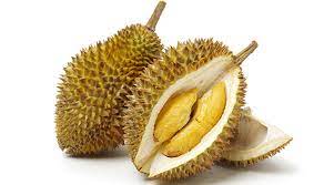 Read more about the article Kaedah Penanaman Durian Musang King