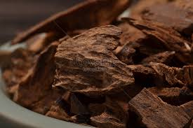 Read more about the article Kaedah Penanaman dan Penggredan Gaharu