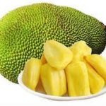 Kaedah Penanaman Nangka Madu (J33)