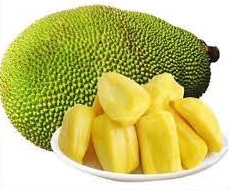 Read more about the article Kaedah Penanaman Nangka Madu (J33)