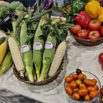 Kaedah Penanaman dan Pemasaran Sayuran