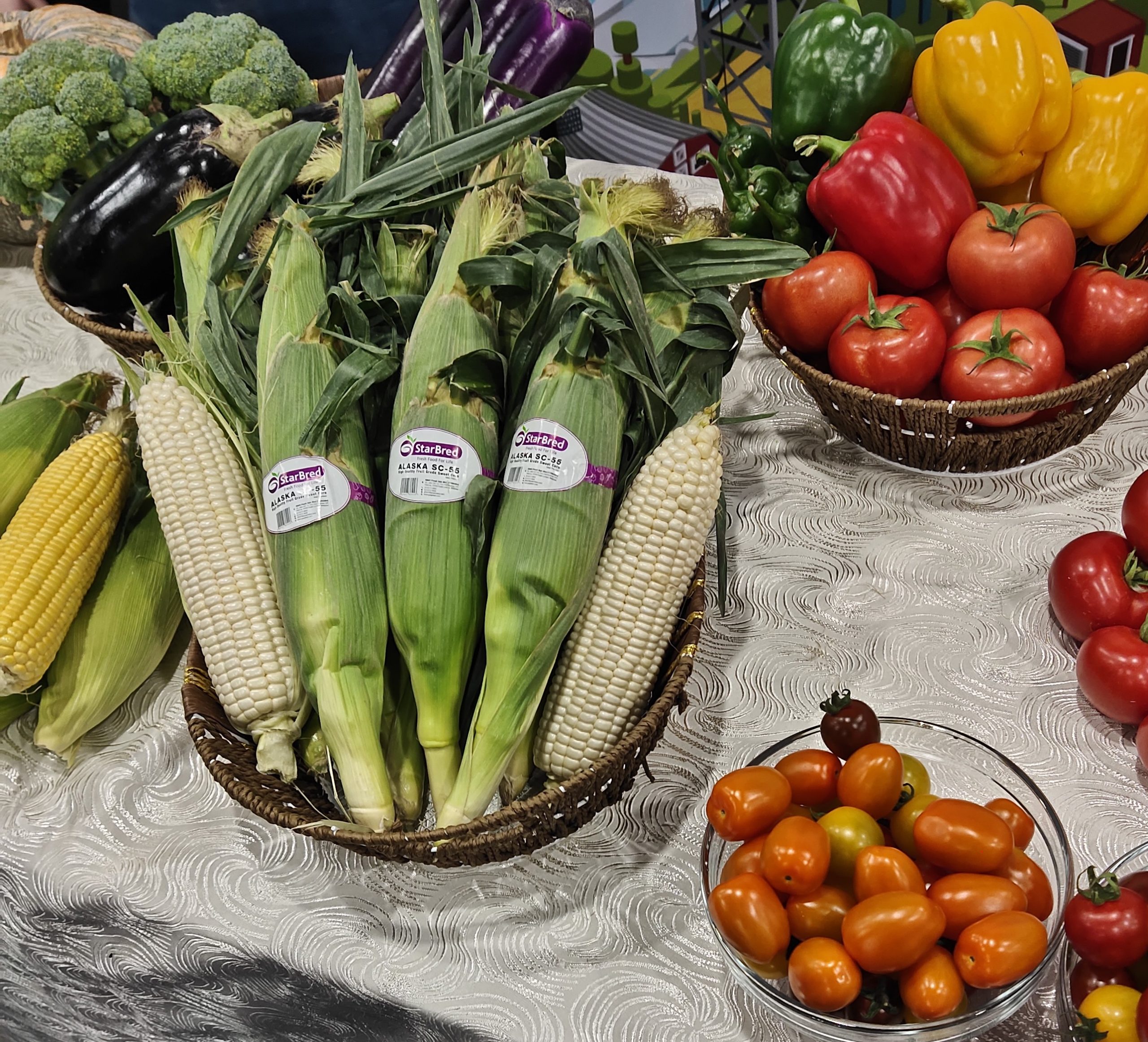 Read more about the article Kaedah Penanaman dan Pemasaran Sayuran