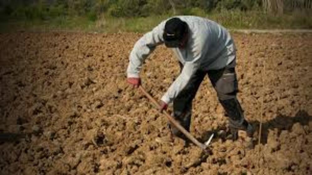 aps agri5